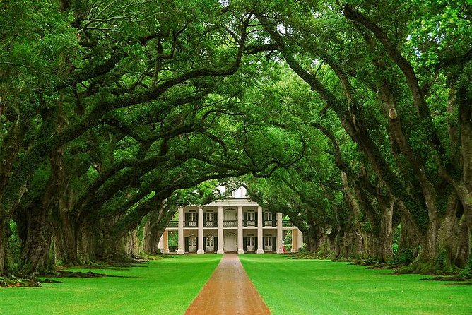 Oak Alley Plantation path