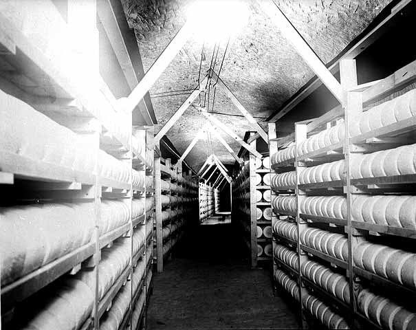 cheese rows in wabasha street caves