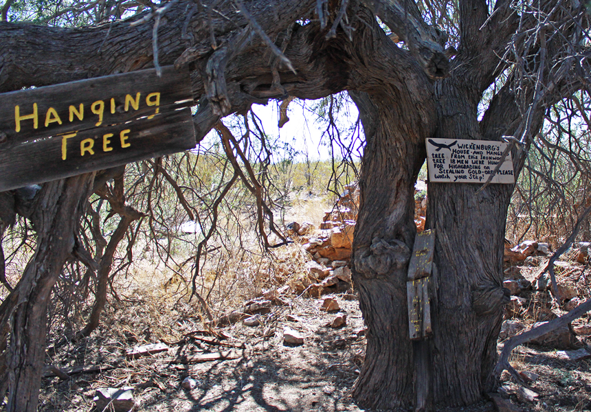 hanging tree at vulture mine